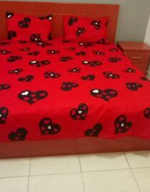 3 Pieces Flat Bedsheet Set - Printed (Blue, Red, Cream Color)